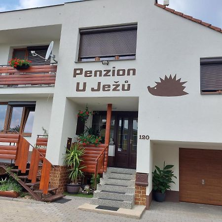 Penzion U Jezu - Ubytovani Pasohlávky 外观 照片