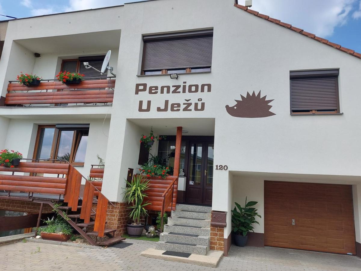 Penzion U Jezu - Ubytovani Pasohlávky 外观 照片
